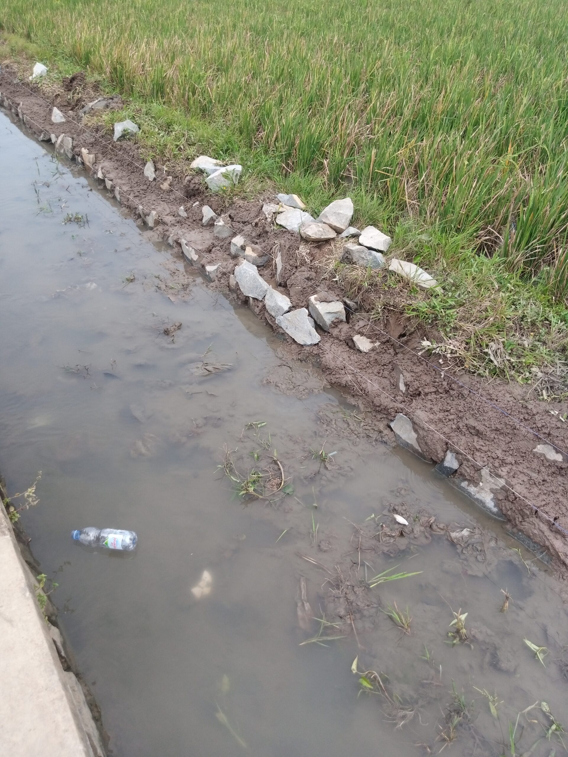 IMG_20240720_112242_435-scaled Pengerjaan Turap Di Desa Kemiri Kecamatan Jayakerta  Diduga Asal-asalan Jadi