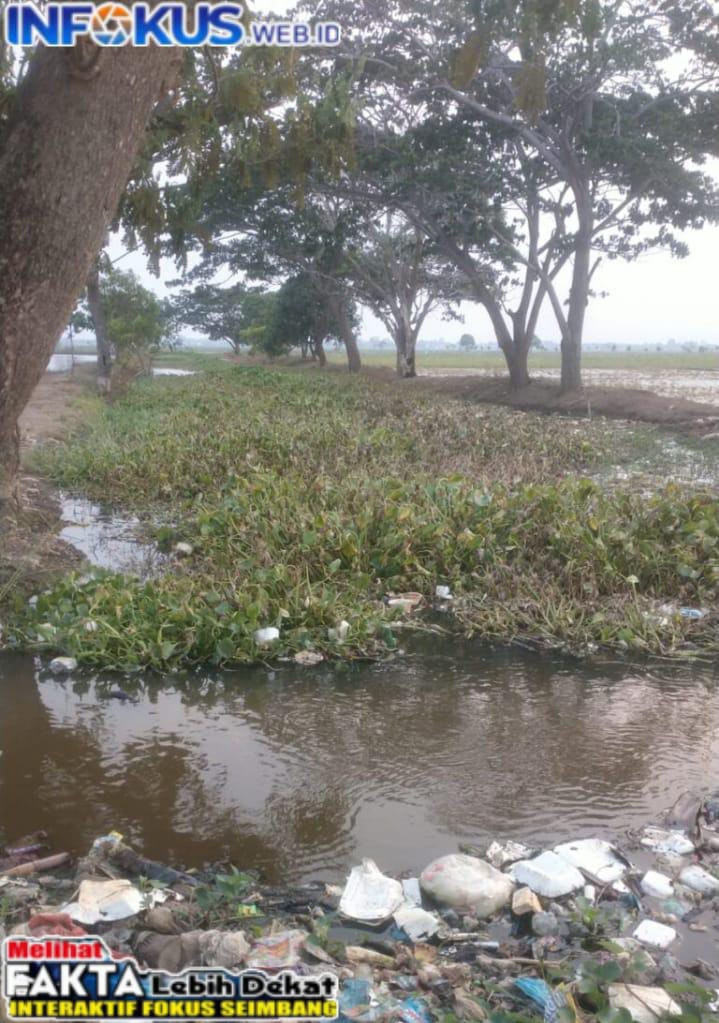 IMG-20241210-WA0006 Kepala UPTD 5, Ketua IKD Dan Kepala Desa Minta Pemkab Dinas Pertanian Dan PUPR Segera Turunkan Program Normalisasi Sungai Yang Dangkal Di Wilayah Kecamatan Tirtajaya