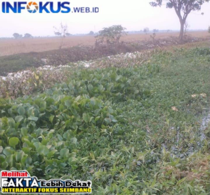 IMG-20241210-WA0007 Kepala UPTD 5, Ketua IKD Dan Kepala Desa Minta Pemkab Dinas Pertanian Dan PUPR Segera Turunkan Program Normalisasi Sungai Yang Dangkal Di Wilayah Kecamatan Tirtajaya