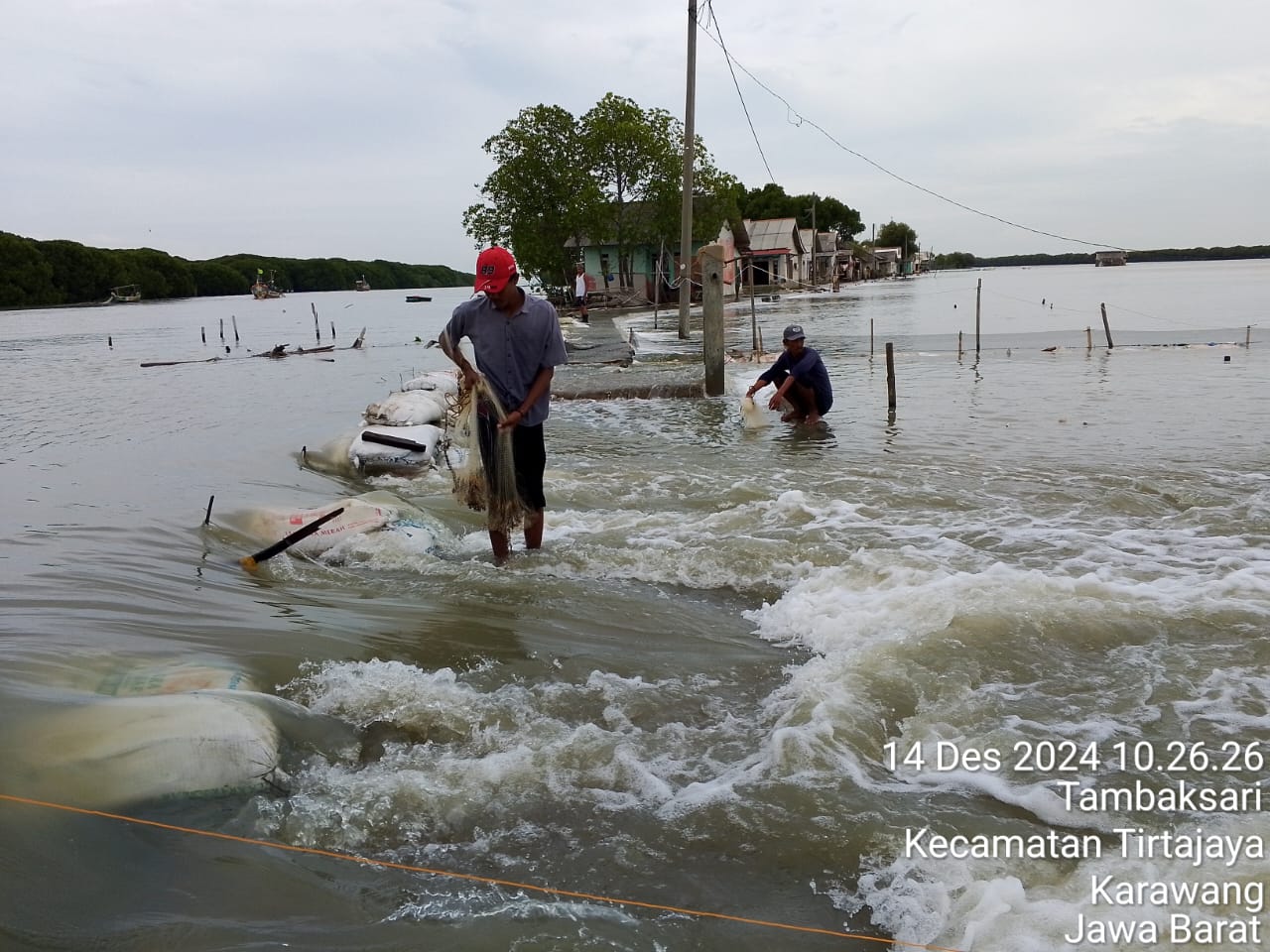 IMG-20241214-WA0009 Desa Tambaksari Kecamatan Tirtajaya, Tiga Dusun Terendam Banjir Rob Air Laut. Warga Berharap Bantuan Pemerintah Karawang