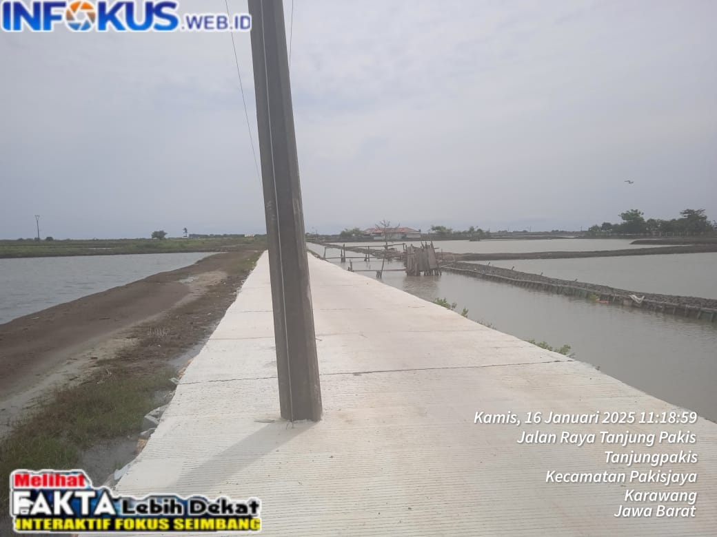 IMG-20250128-WA02441 Pemdes Dan Warga Minta, Tiang Listrik Di Geser, Arus Listrik Migrasi Ke Karawang