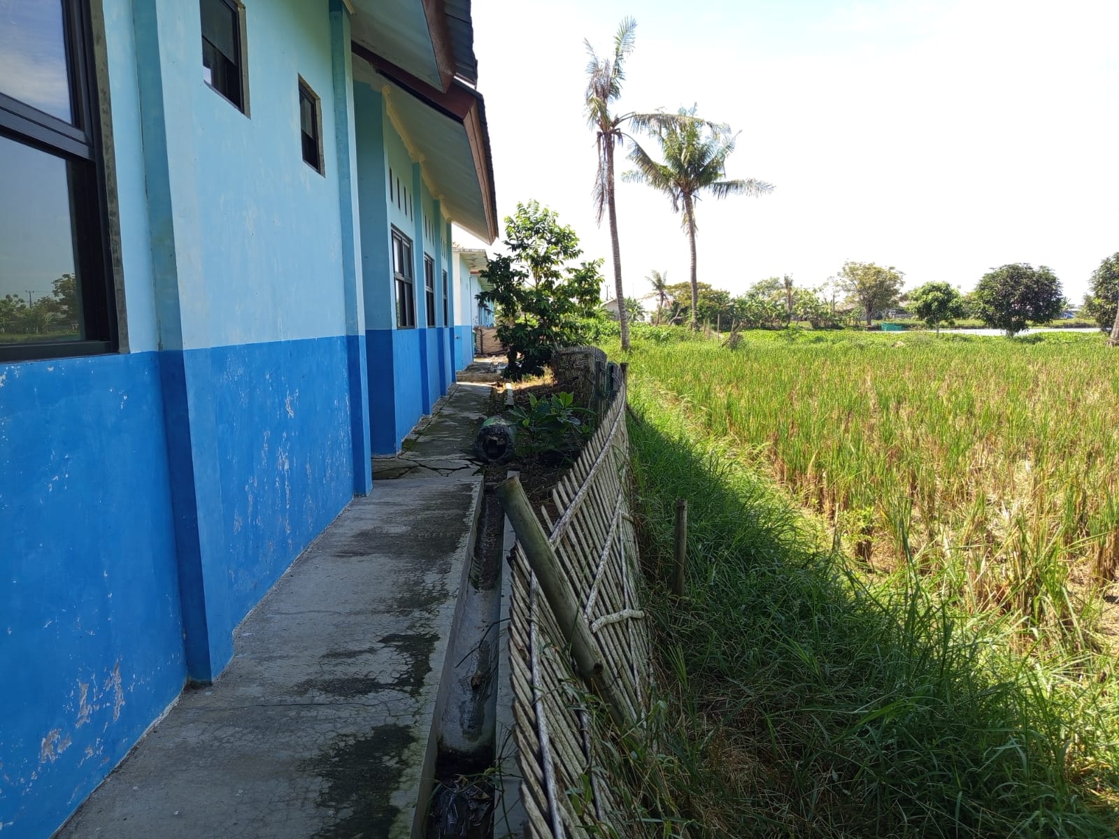 IMG-20250523-WA0063 Miris!!! Diduga Sudah Puluhan Tahun SMAN 1 Cibuaya Belum Punya Pagar