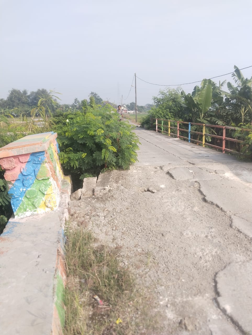 IMG-20250716-WA0100 Endang Kades Mulyajaya Minta, Pemkab Dan Para Anggota Dewan Dapil Dua Prioritaskan Pembangunan Karawang Utara